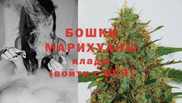 apvp Арсеньев