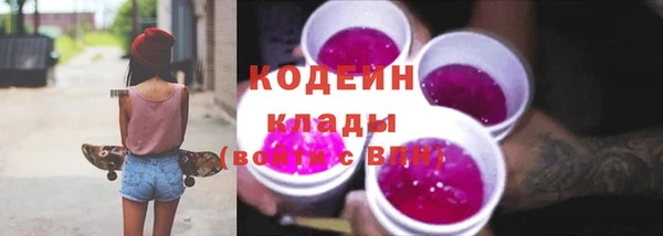 apvp Арсеньев