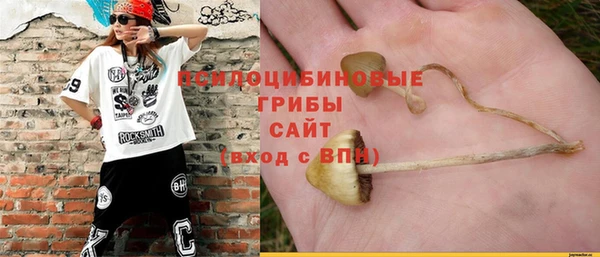 apvp Арсеньев