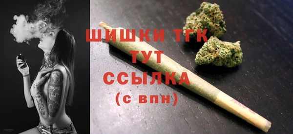 сатива Армянск